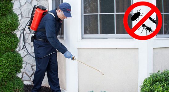 Görele Gümüşkurt İlaçlama böcek ilaçlama ve haşere kontrolü — ilaclama-tr.com